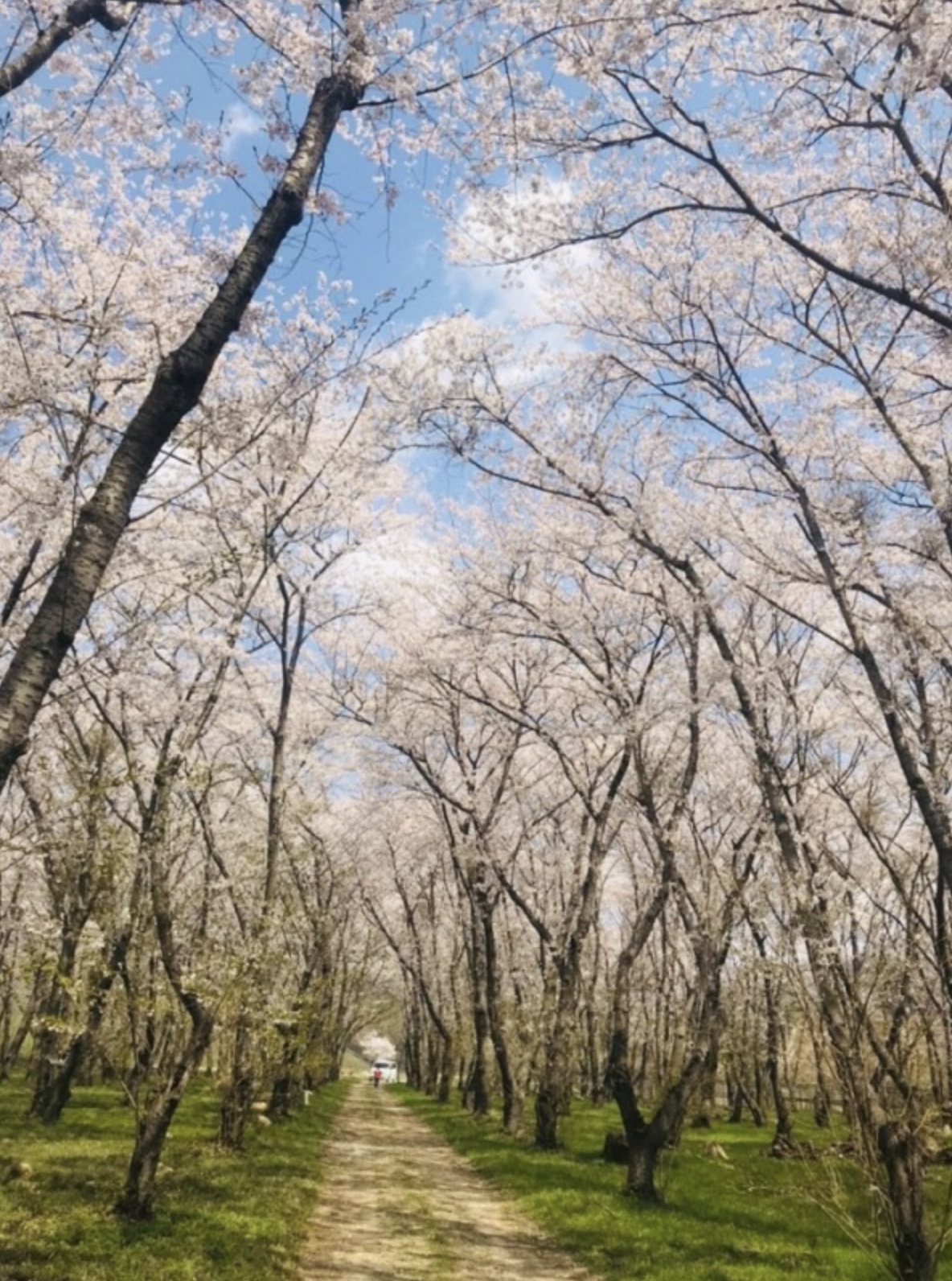 진해 웅동수원지