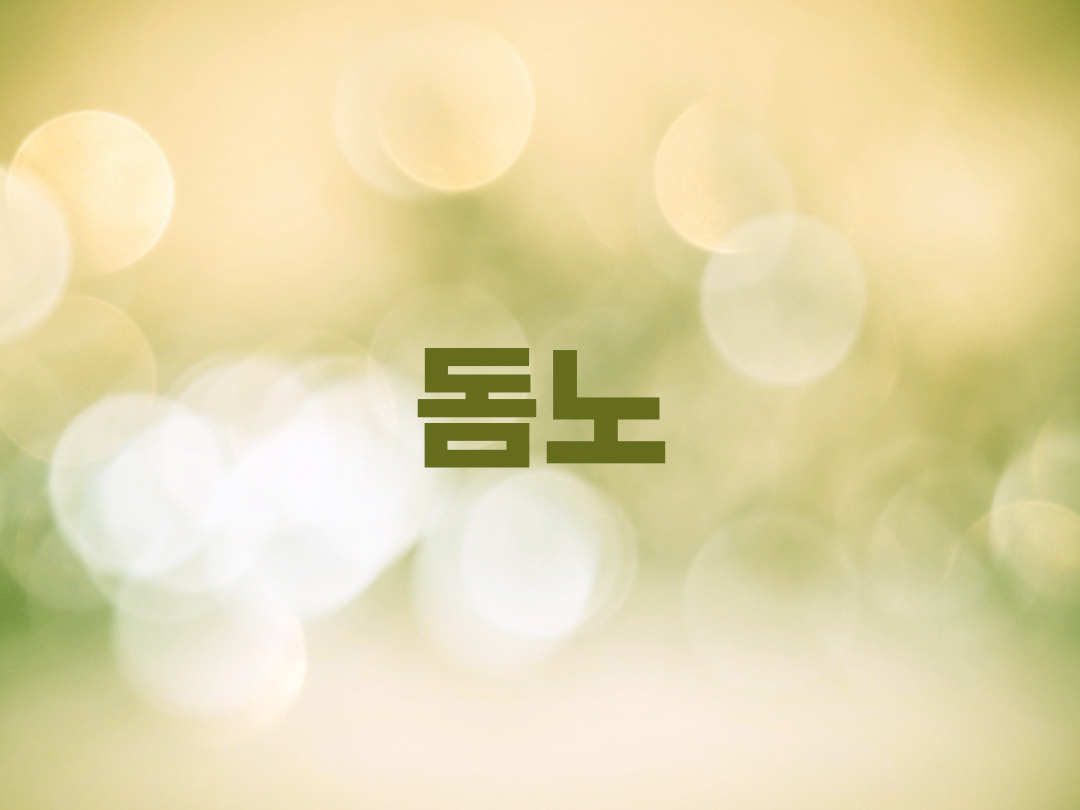 돔노 천주교 남자세례명 2인 목록