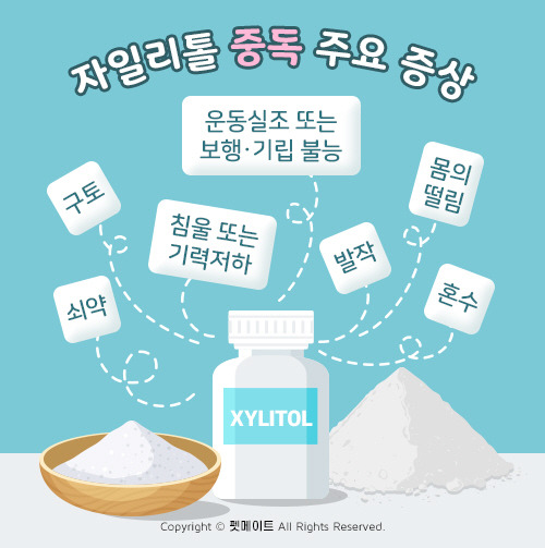 alt="자일리톨의 주요 중독 증상"