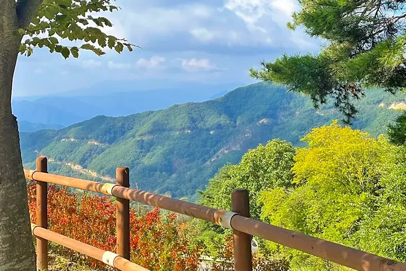 산청군 황매산미리내파크 오토캠핑장