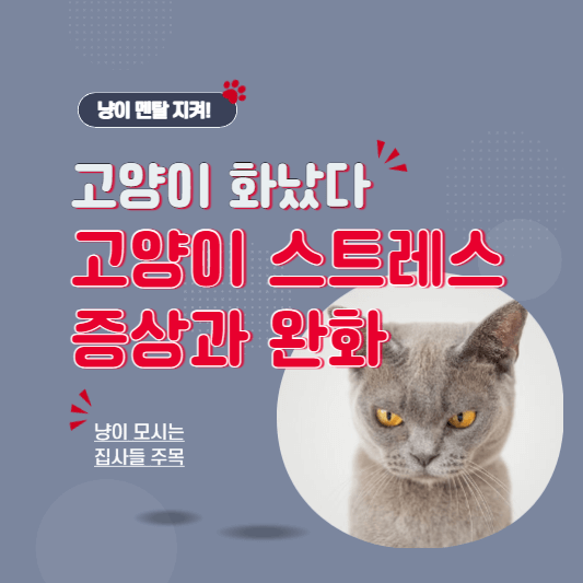 고양이스트레스증상