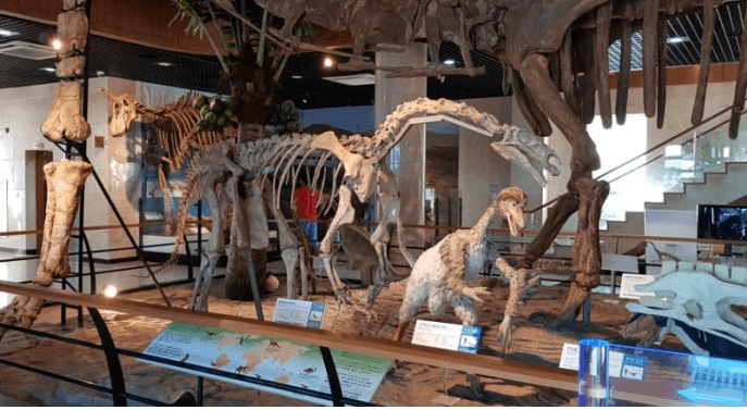 안면도-쥬라기박물관