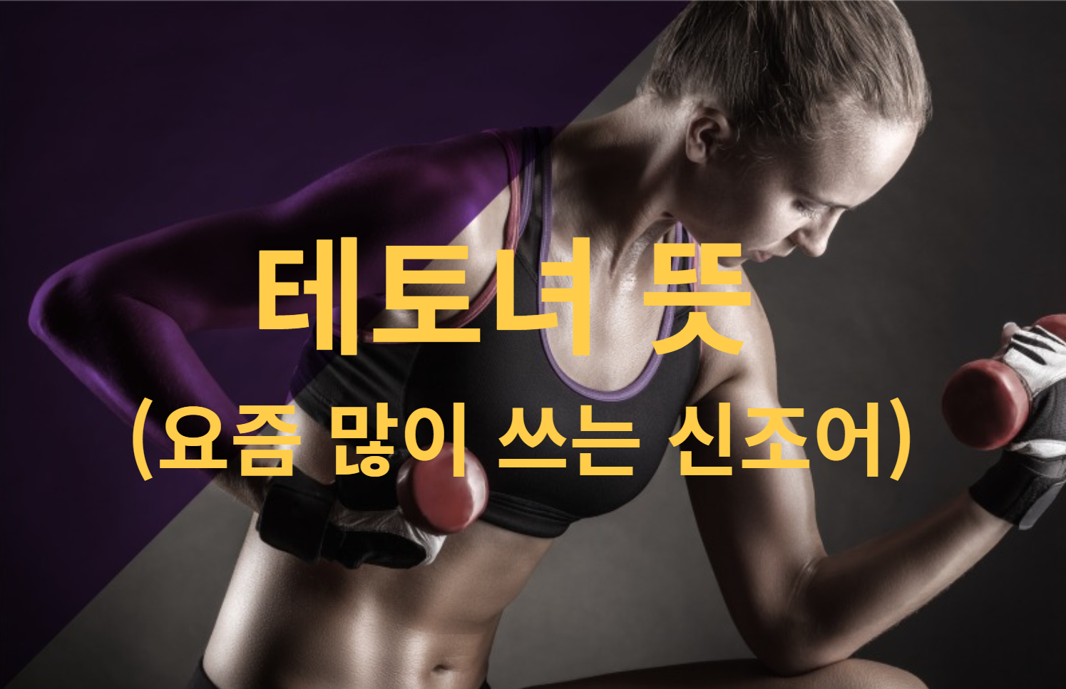 테토녀 뜻 (요즘 많이 쓰이는 신조어)