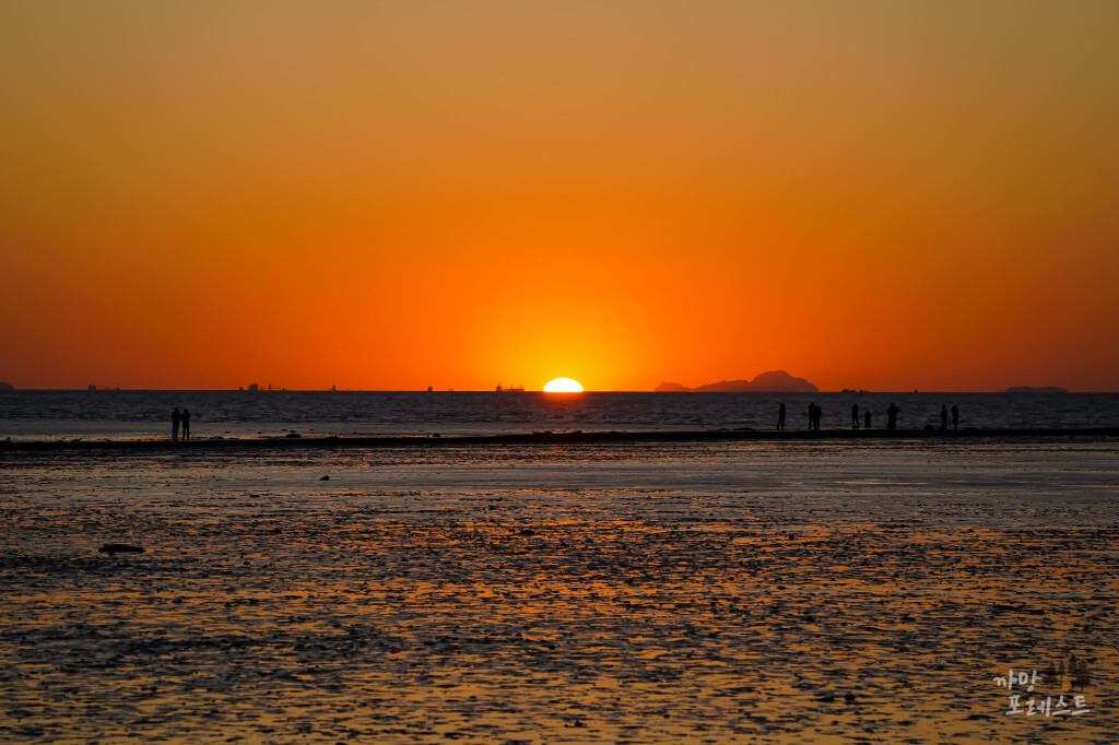 안산 탄도항 일몰 명소