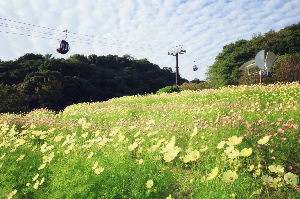 고베 여행 추천 누노비키 허브원