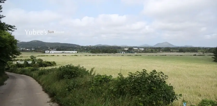 지미봉 둘레길 풍경