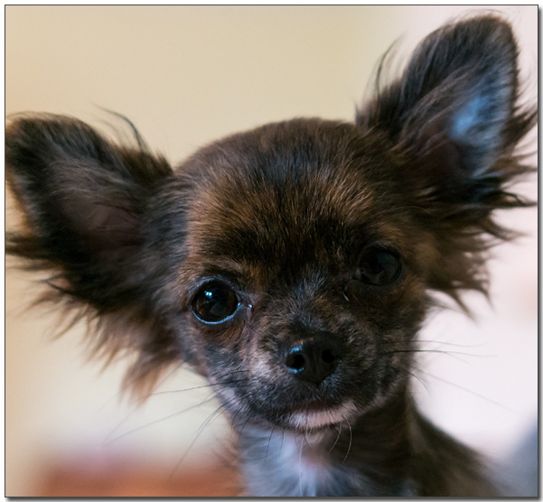 ๊ฒ์ ์น์์