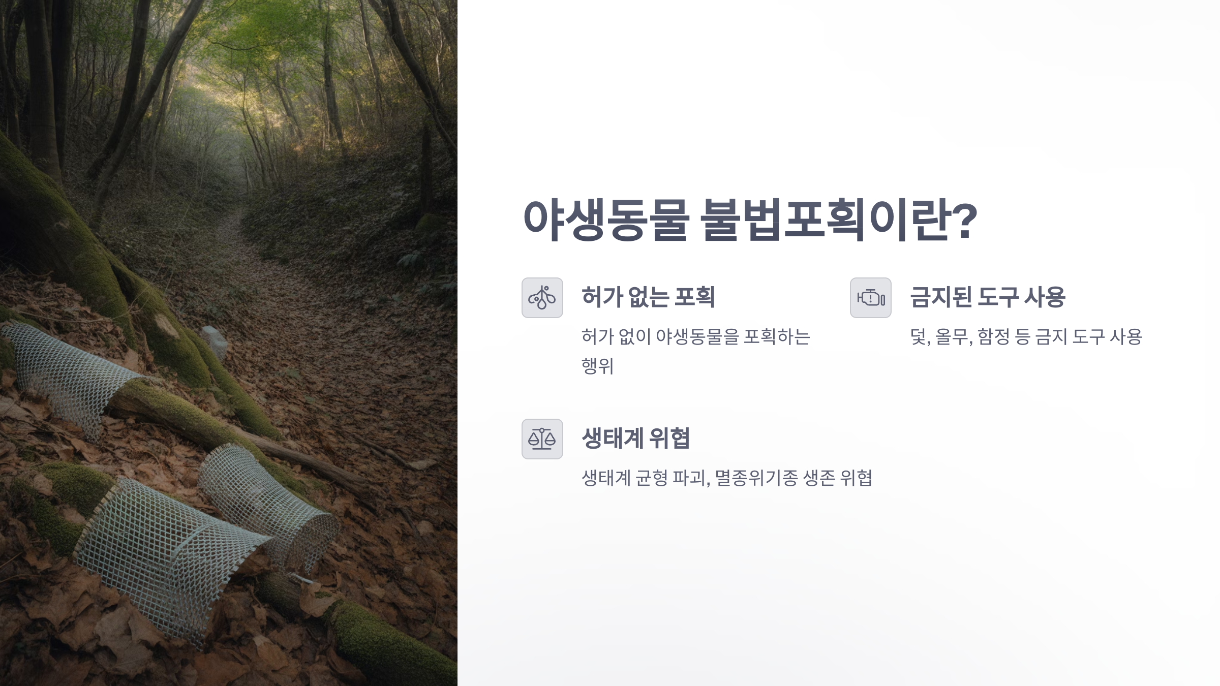 참조-야생동물-불법포획-2