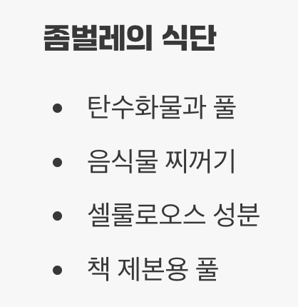 '옷'과 '책'을 갉아 먹는 피해