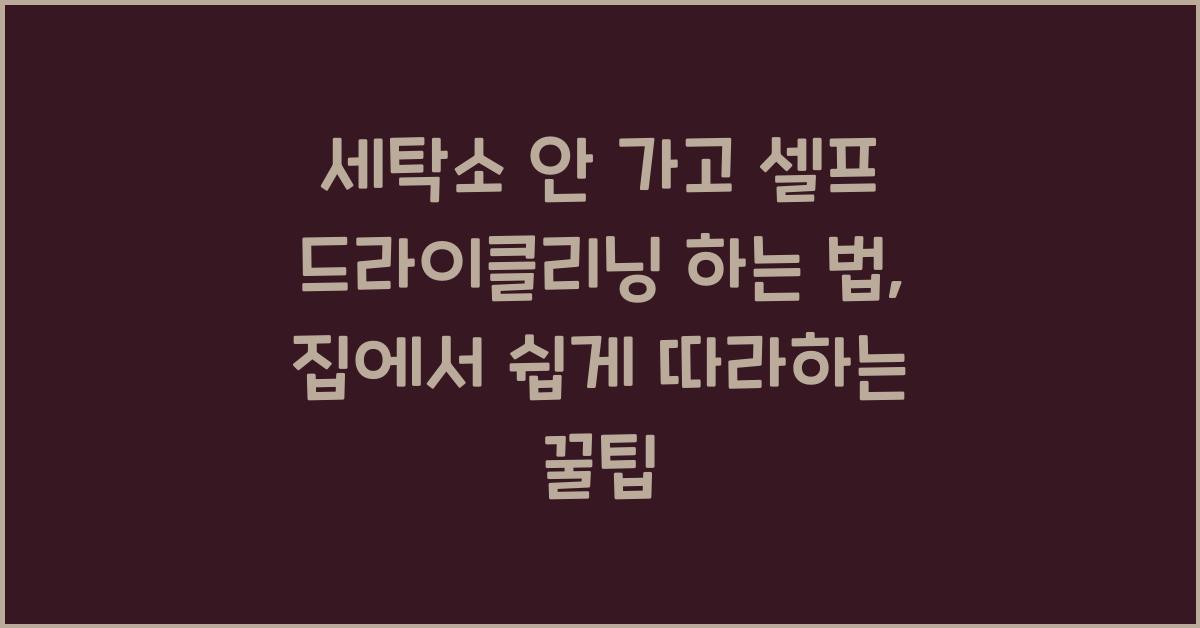 세탁소 안 가고 셀프 드라이클리닝 하는 법