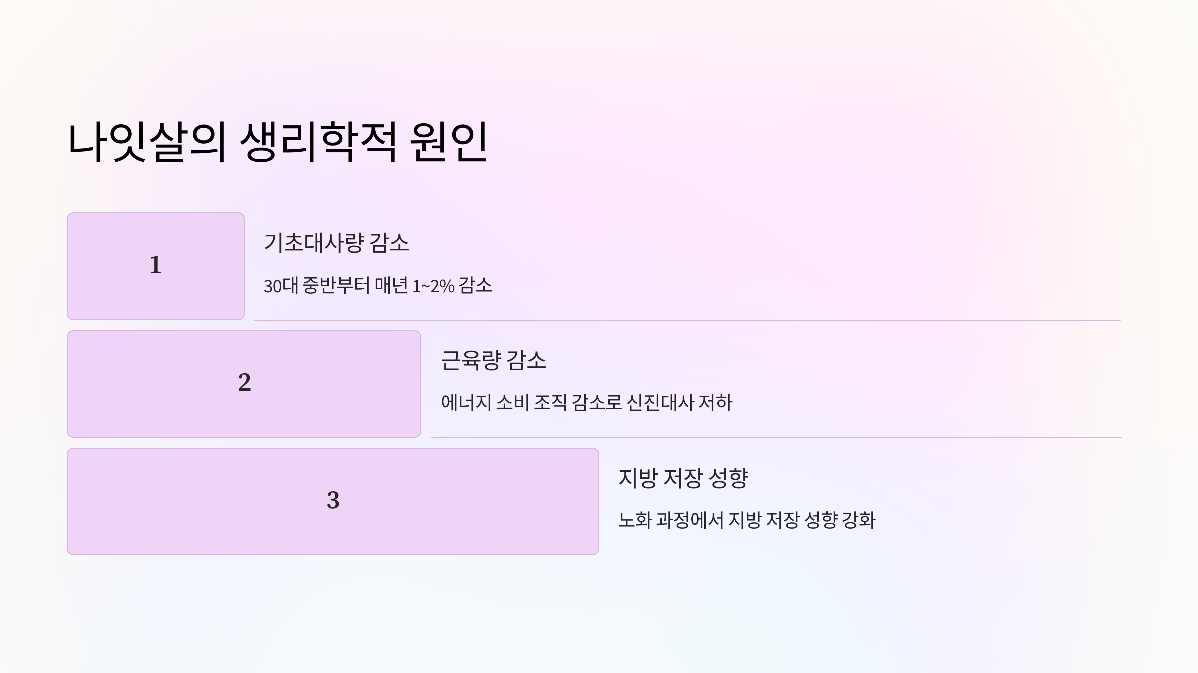 🧬 나잇살이 생기는 생리학적 이유