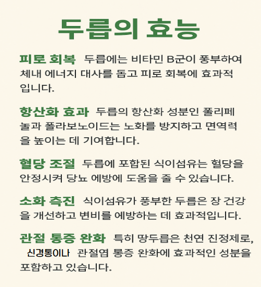 두릅의효능