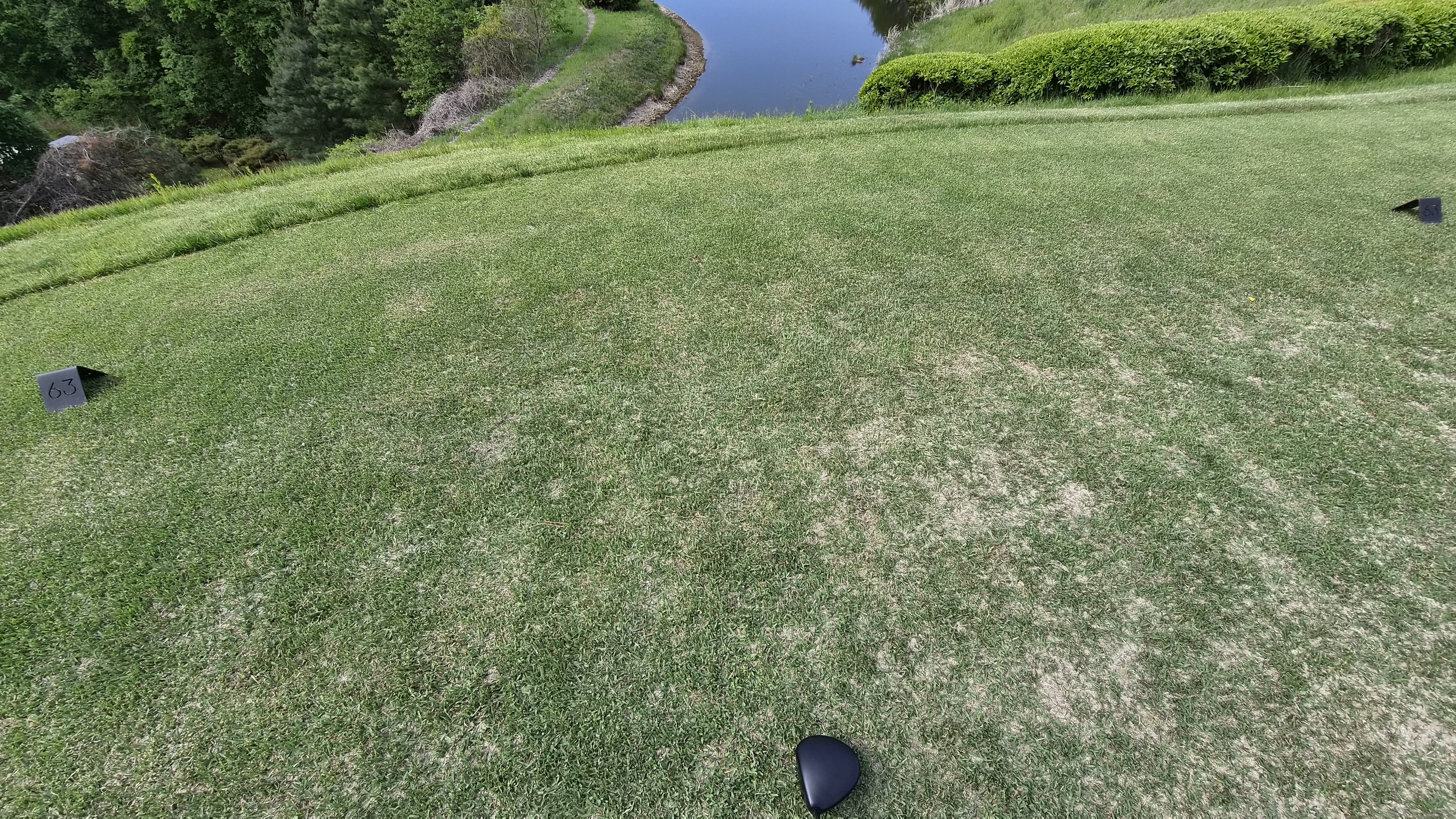 360도cc 티잉구역 상태