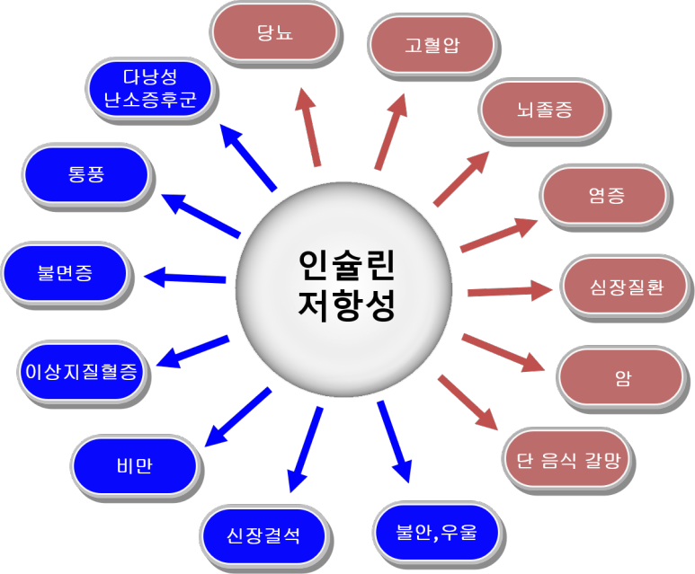 인슐린 저항성으로 인한 질병