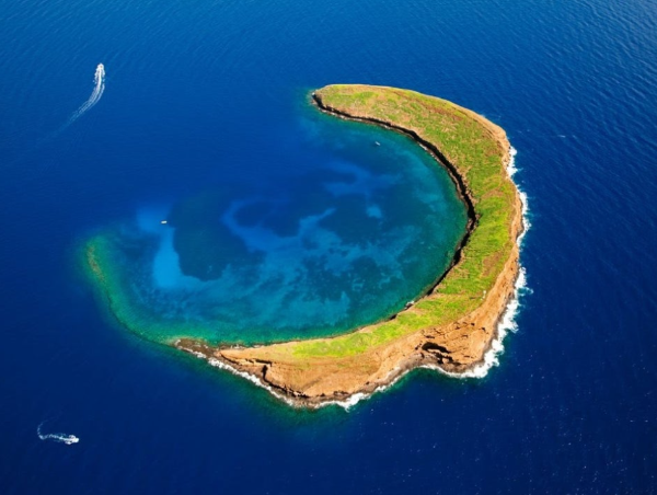 하와이 신혼여행