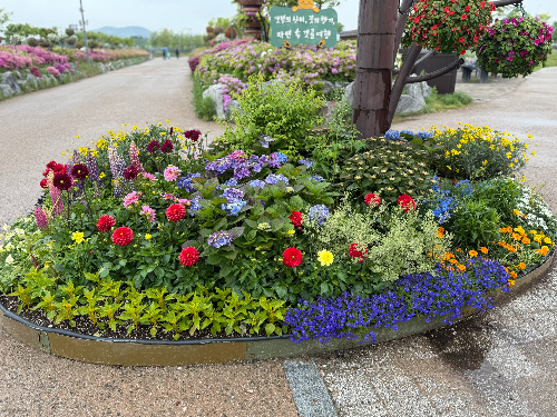 시흥 갯골생태공원 해질녁 콘서트