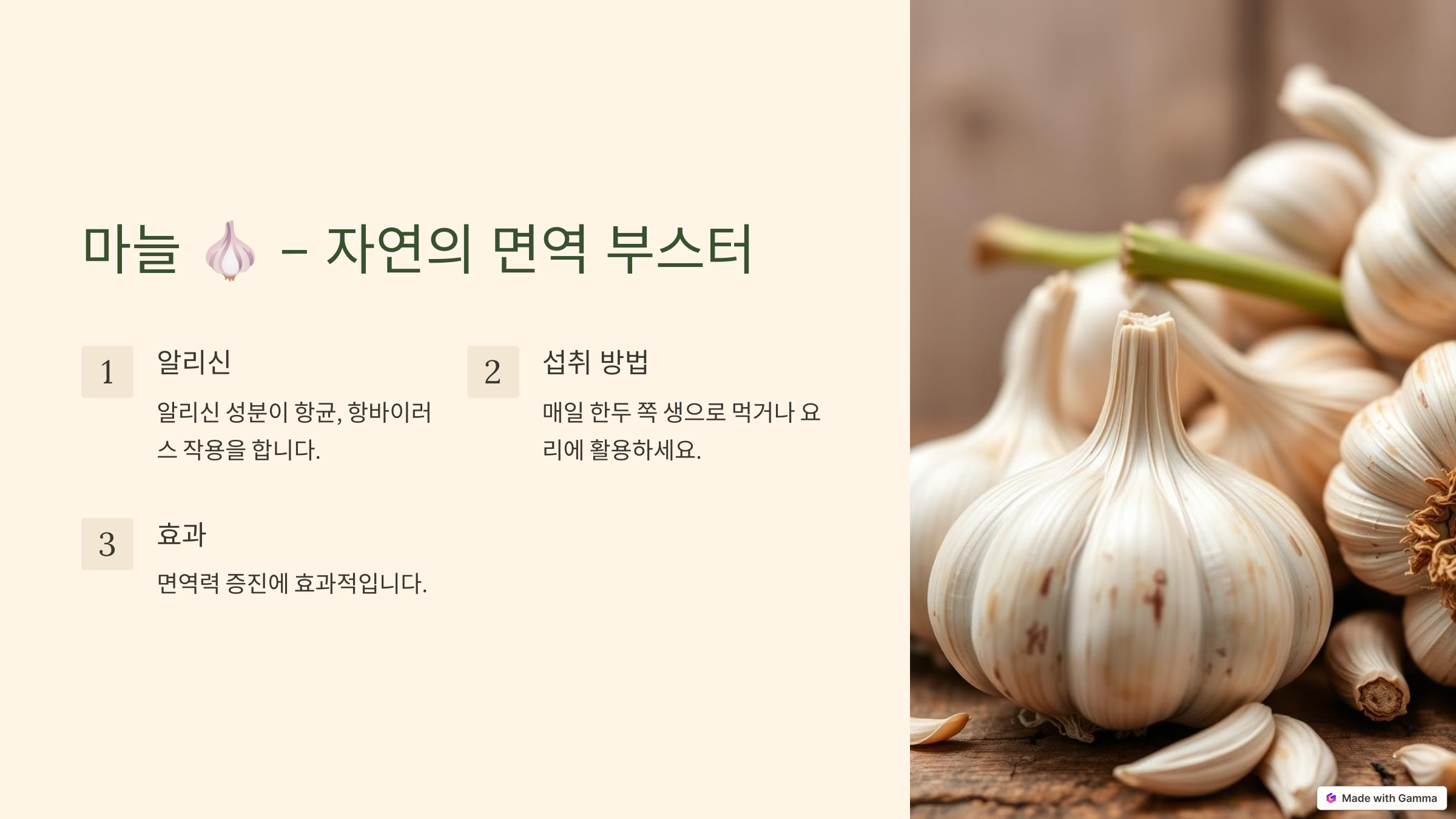 면역력 높이는 음식 BEST 10