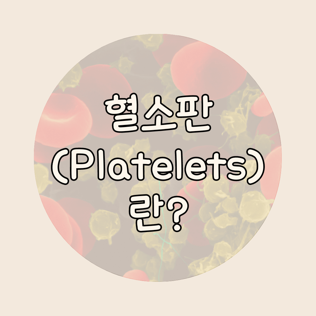 혈소판