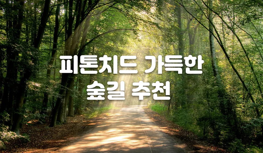 걷기 좋은 명품 숲길 50선 전국 서울 경기_1
