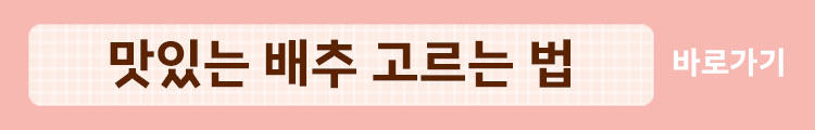 맛있는 배추 고르는 법