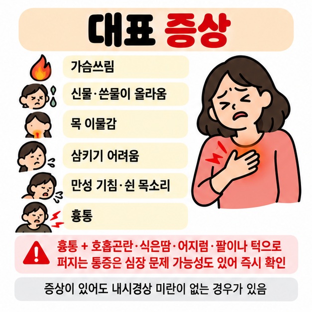 가슴쓰림 신물 역류 목 이물감 삼킴 불편 만성기침 쉰 목소리와 가슴 통증을 대표 증상으로 보여주는 카드