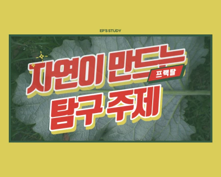 자연이 만드는 프렉탈 탐구주제