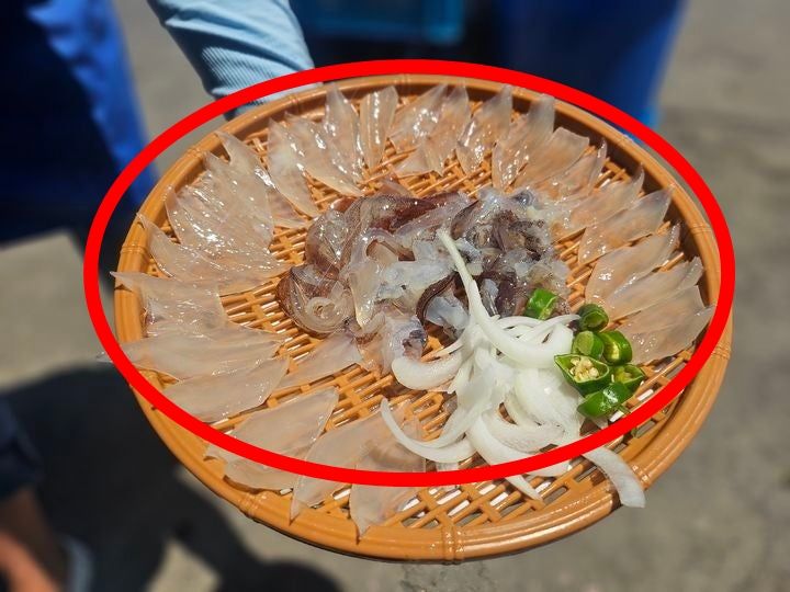 속초 난전 바가지요금 불친절 오징어논란 신뢰회복