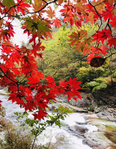 2025 북한산 단풍 절정 날짜 공개! 가을 등산 초보자 코스 & 꿀팁