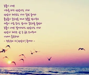 짧은 응원 글귀 마음을 움직이는 짧은 응원의 말 모음집_10