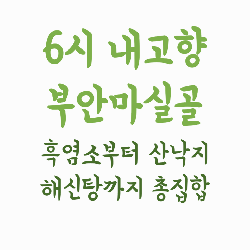 20250703 6시 내고향 부안마실골 - 흑염소부터 산낙지, 해신탕까지 건강 밥상 총집합!