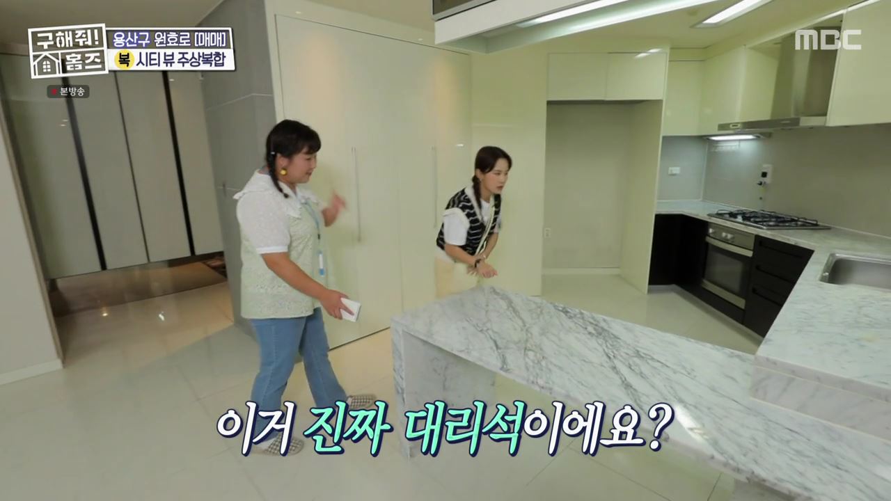 구해줘홈즈 용산구 원효로1가 용산 주상복합 납시오 하우스 매물 가격 및 구조 인테리어 리모델링 최종선택 소개