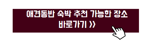 애견동반겨울여행지