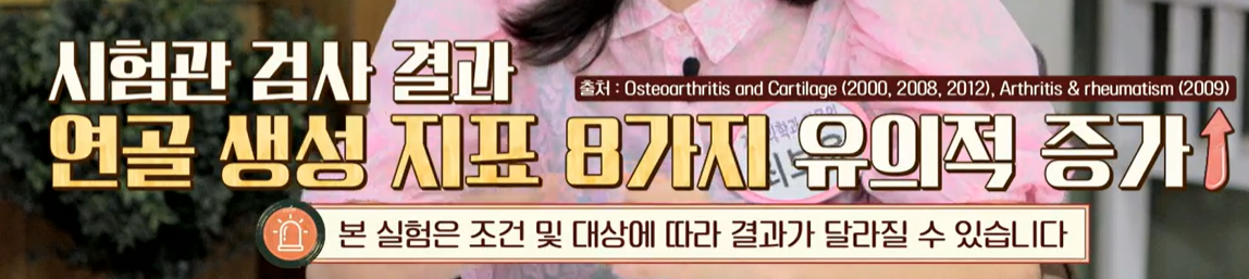 콘드로이친 효능