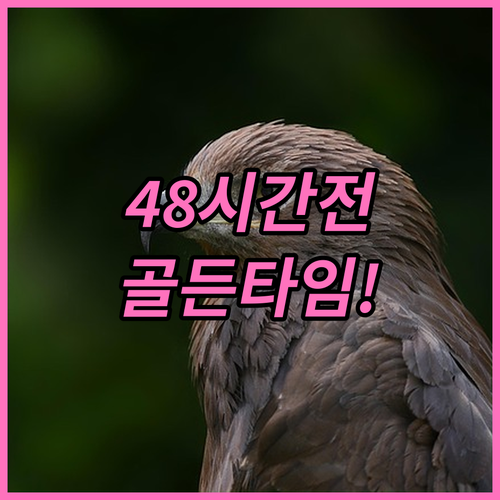 홍콩익스프레스 좌석 변경 48시간 전..