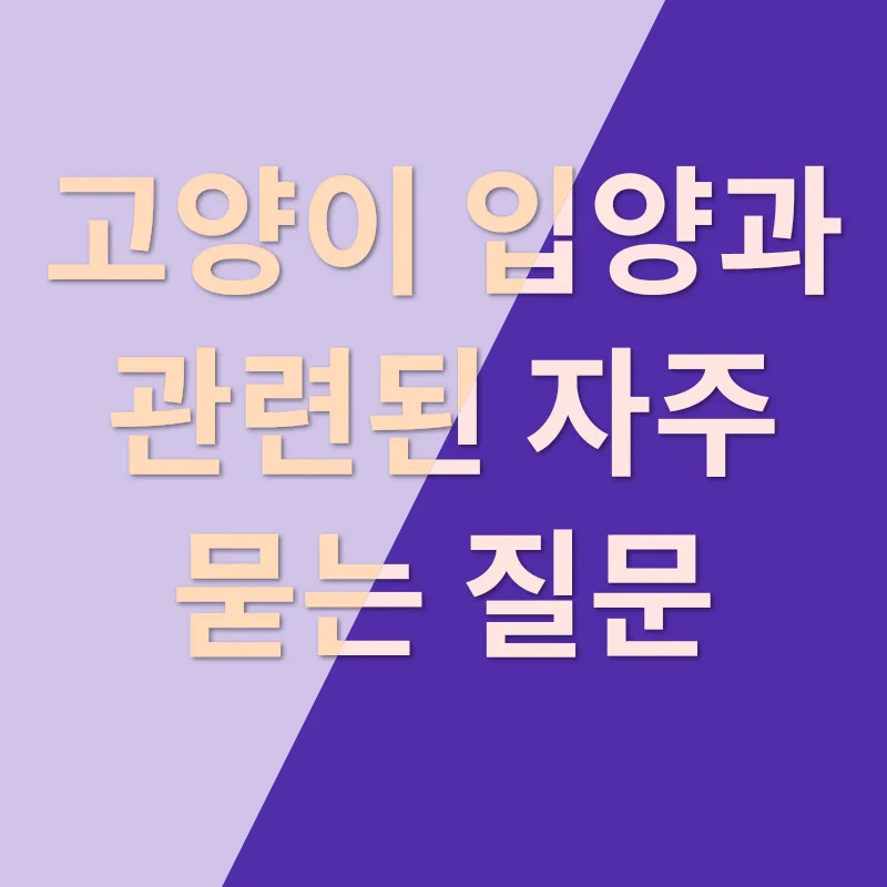 고양이 입양_4