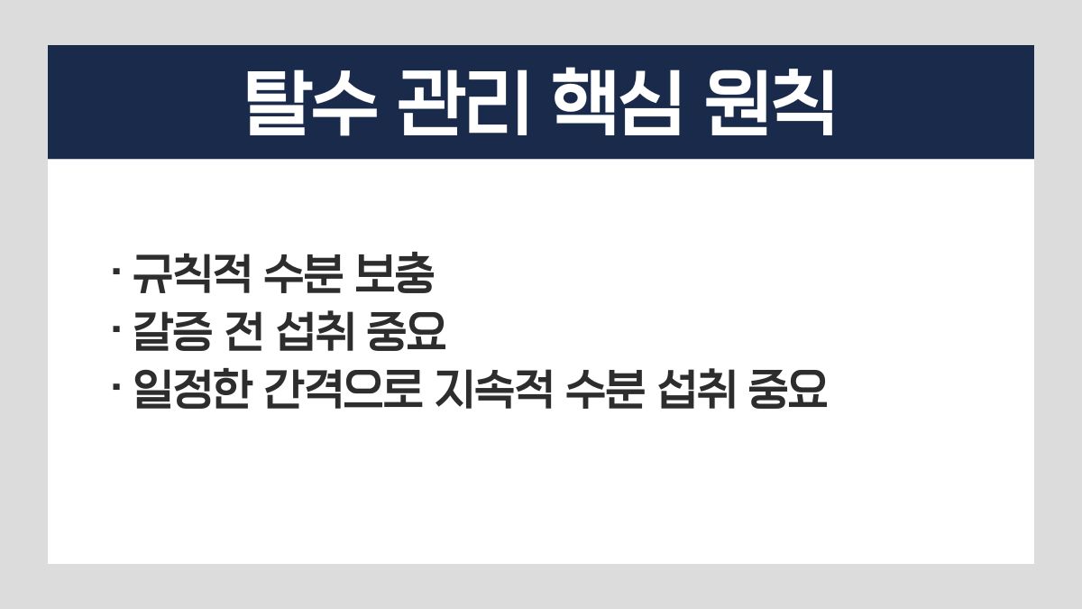 탈수 예방 음료