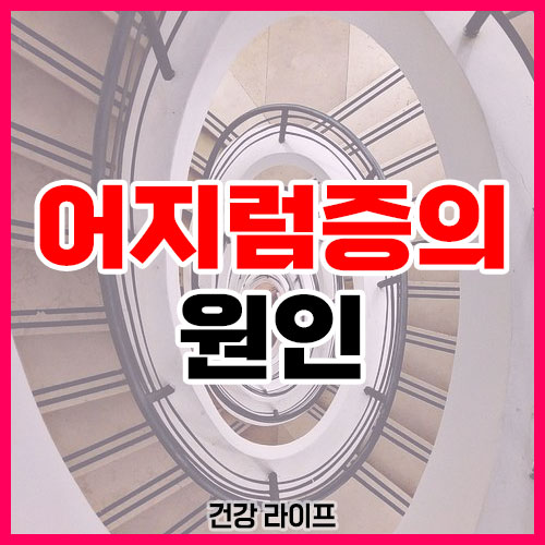 어지럼증의 원인