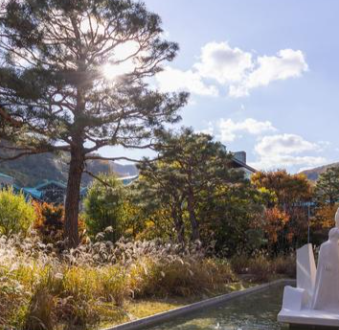 노타 청약 균등 배정