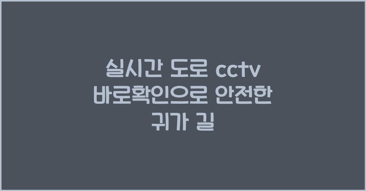 실시간 도로 cctv 바로확인