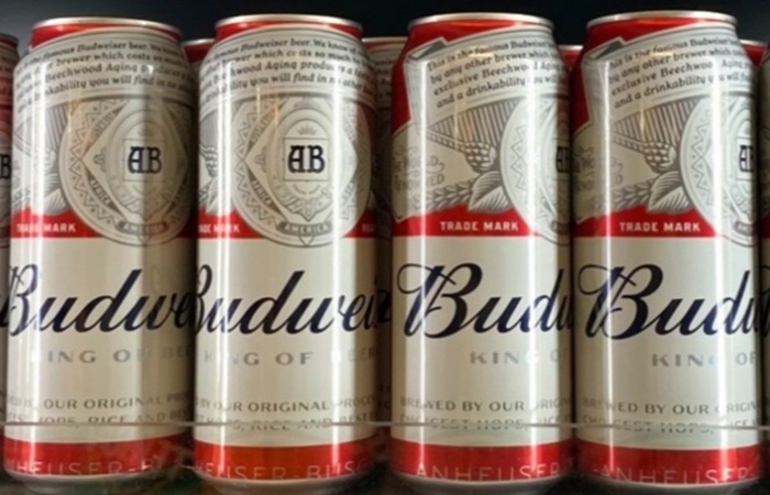 버드와이저 관련 사진