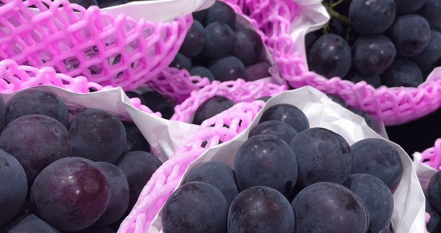 거봉 포도고 이쁘게 포장 되어 있다