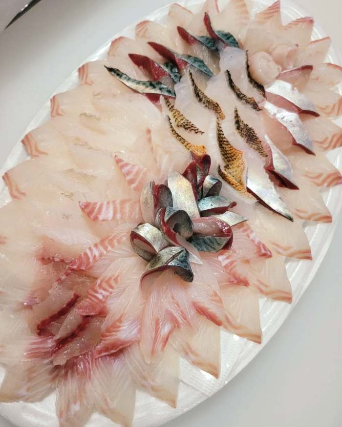 모닝와이드 제주 서귀포 벵에돔 직접 잡은 자연산 제철회 포장 참돔 벤자리 부시리 돌돔 맛집 추천