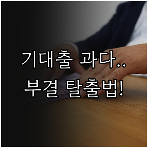 기대출 과다와 신용 이력 부족에 따른..