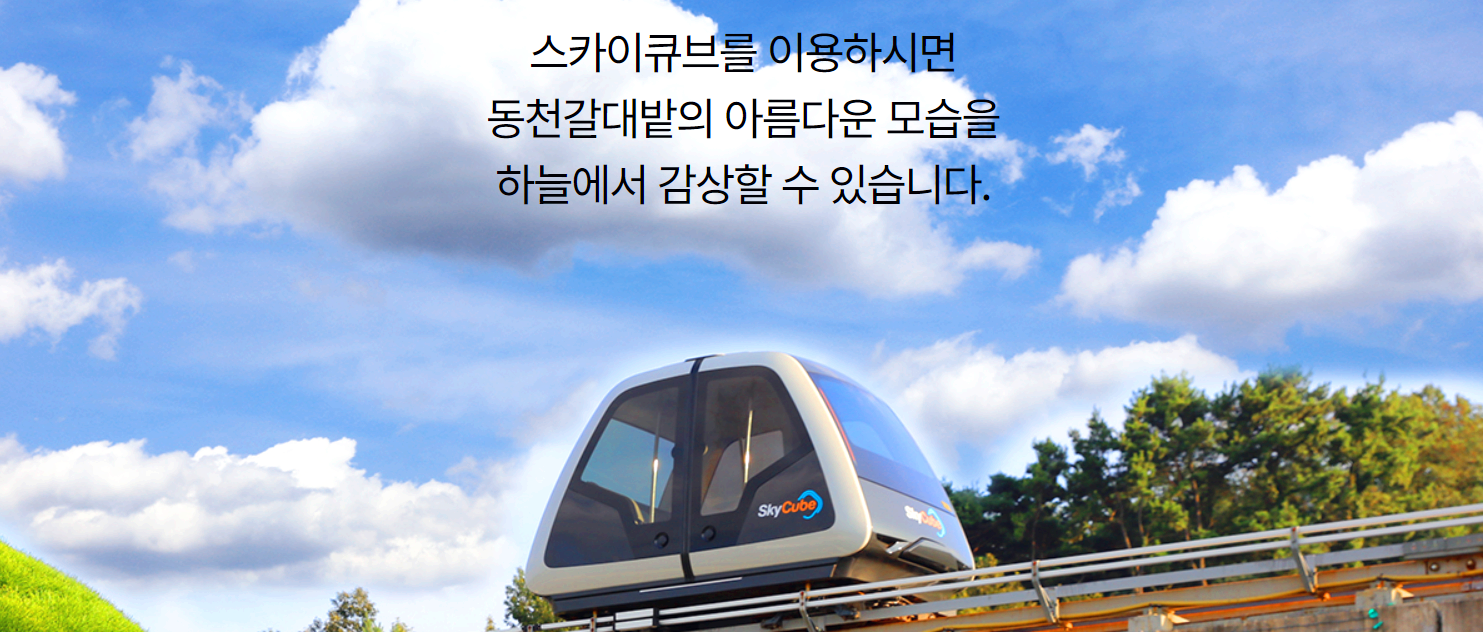 순천만국가정원 스카이큐브