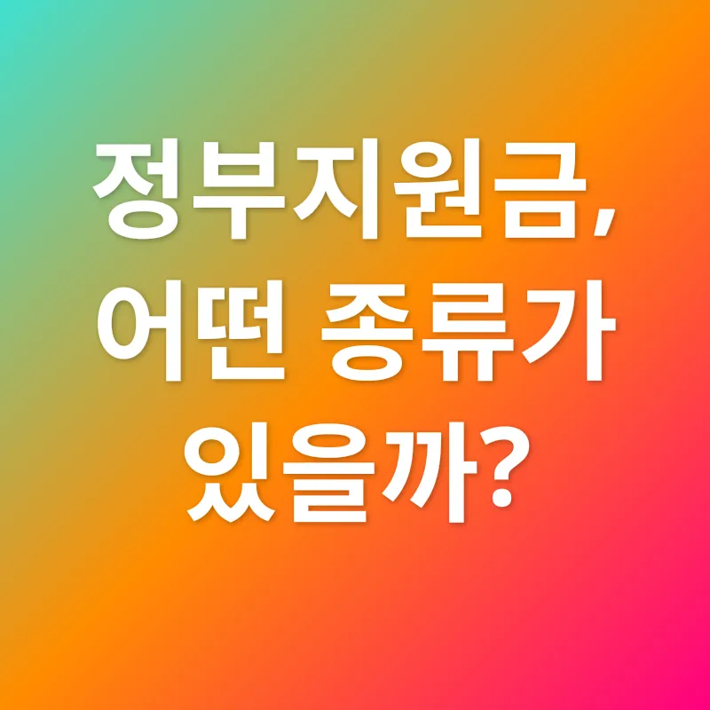 정부지원금_2