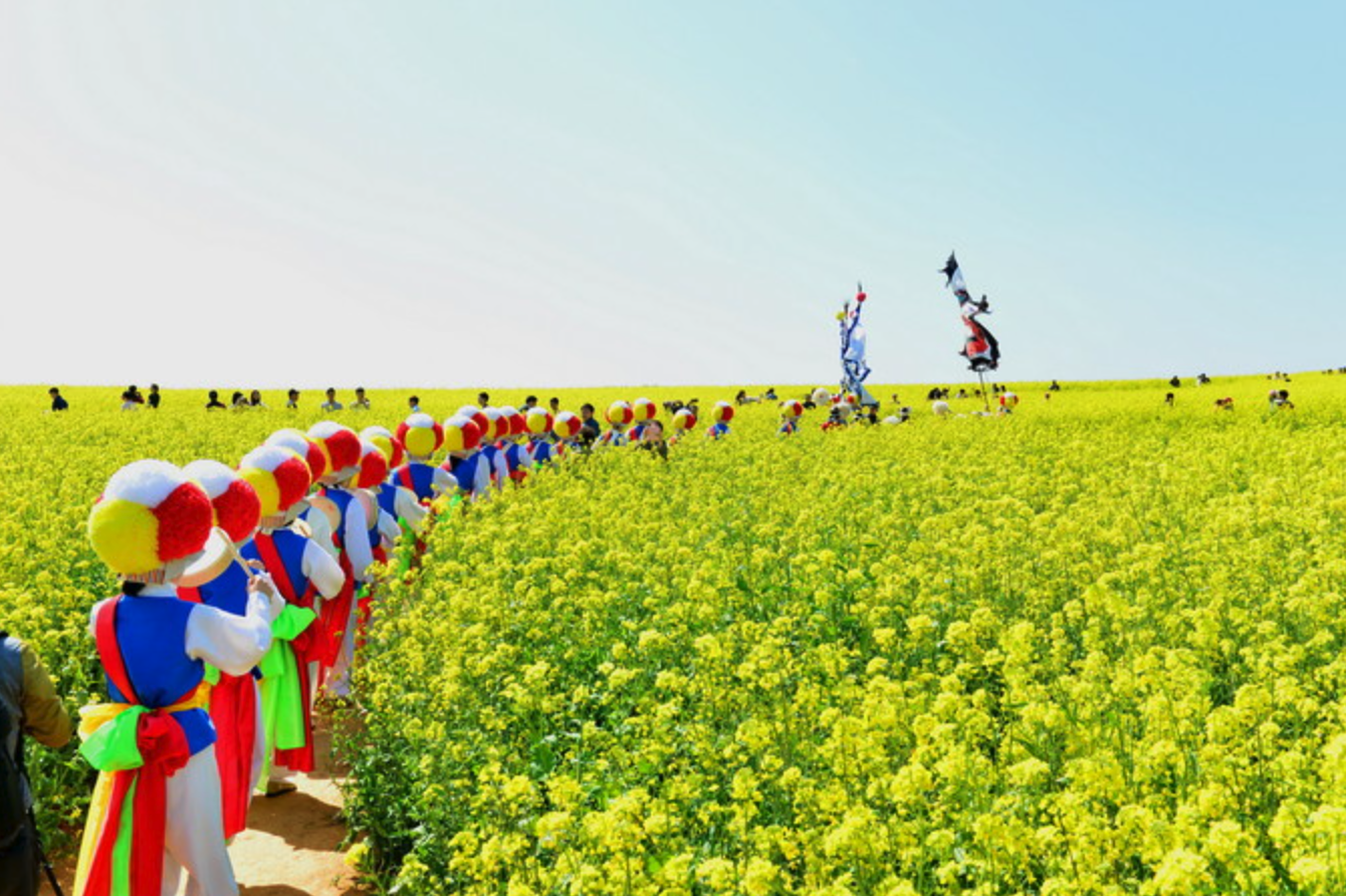 고창-청보리밭-축제