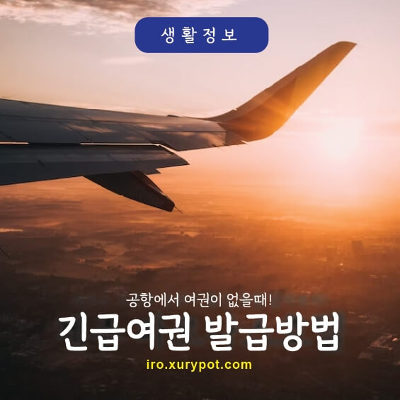비행기