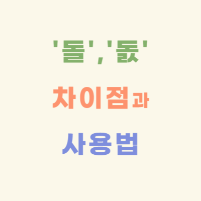 돌과-돐-차이점과-사용법