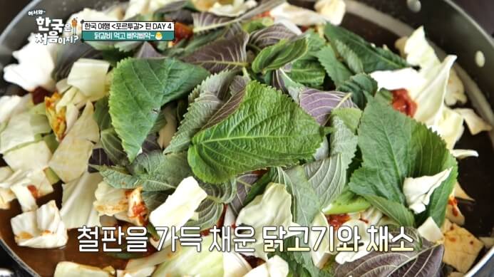 어서와-한국은-처음이지-가평-닭갈비