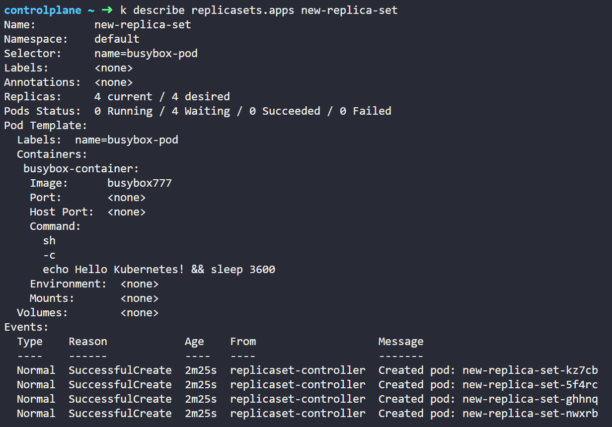 replicaset 상세 정보 조회